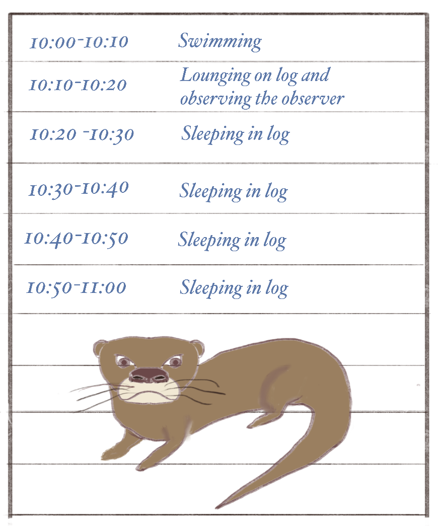 Otter log page.