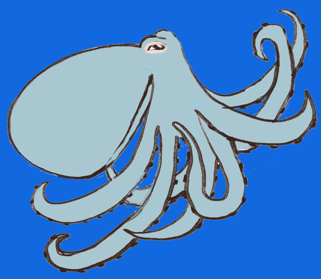 Octopus