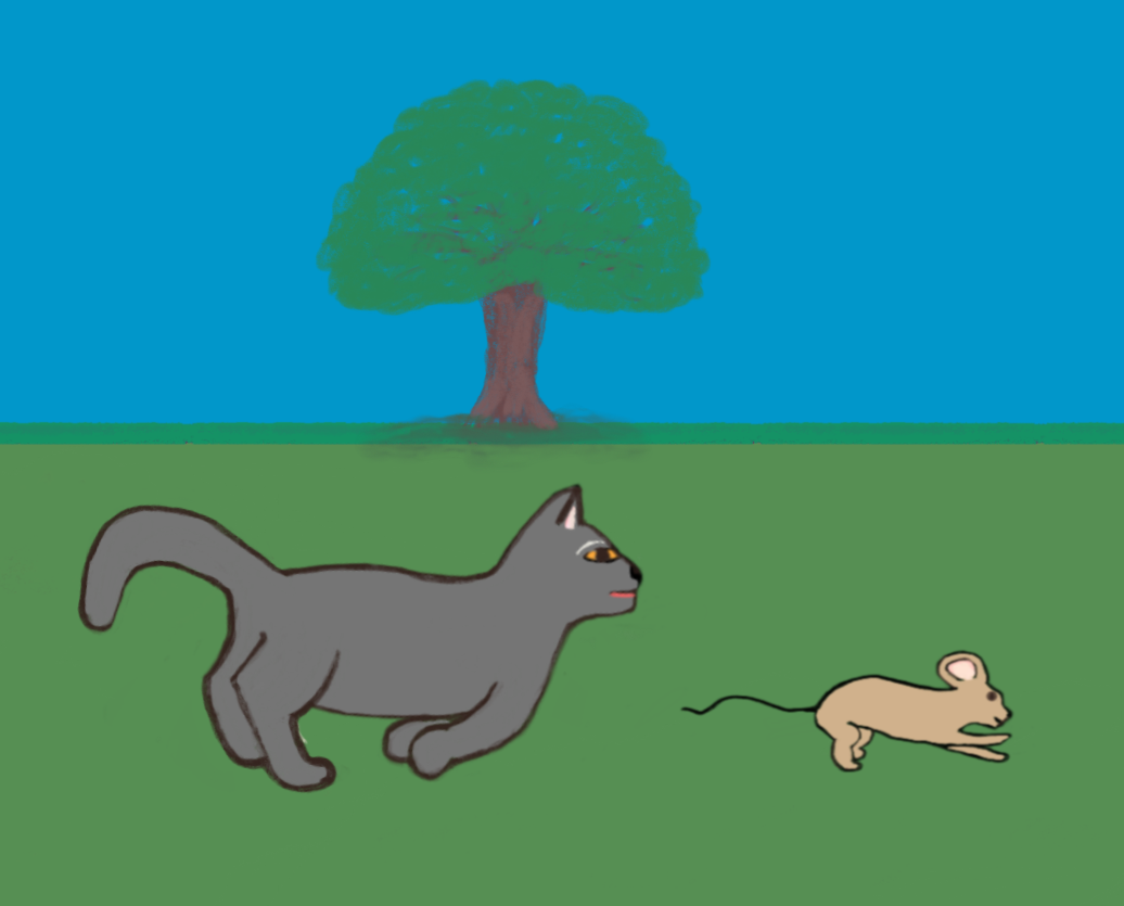 Cat chasing mouse