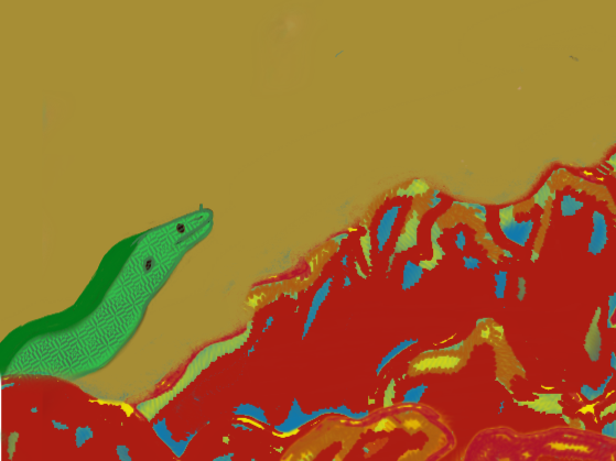 Moray eel