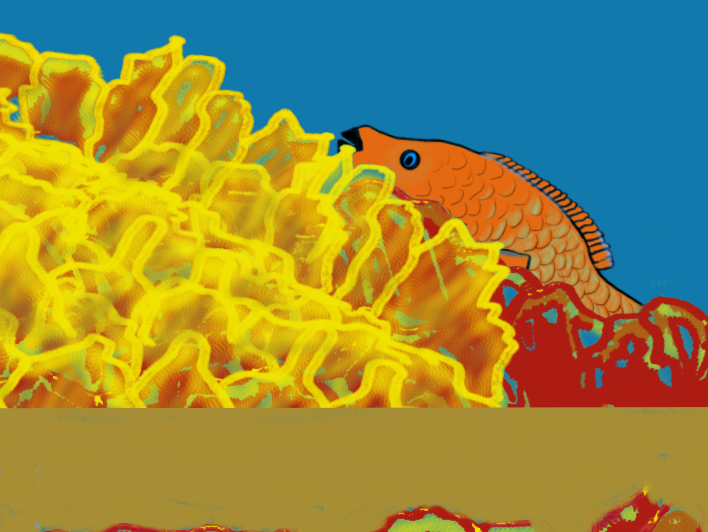 {arrotfish