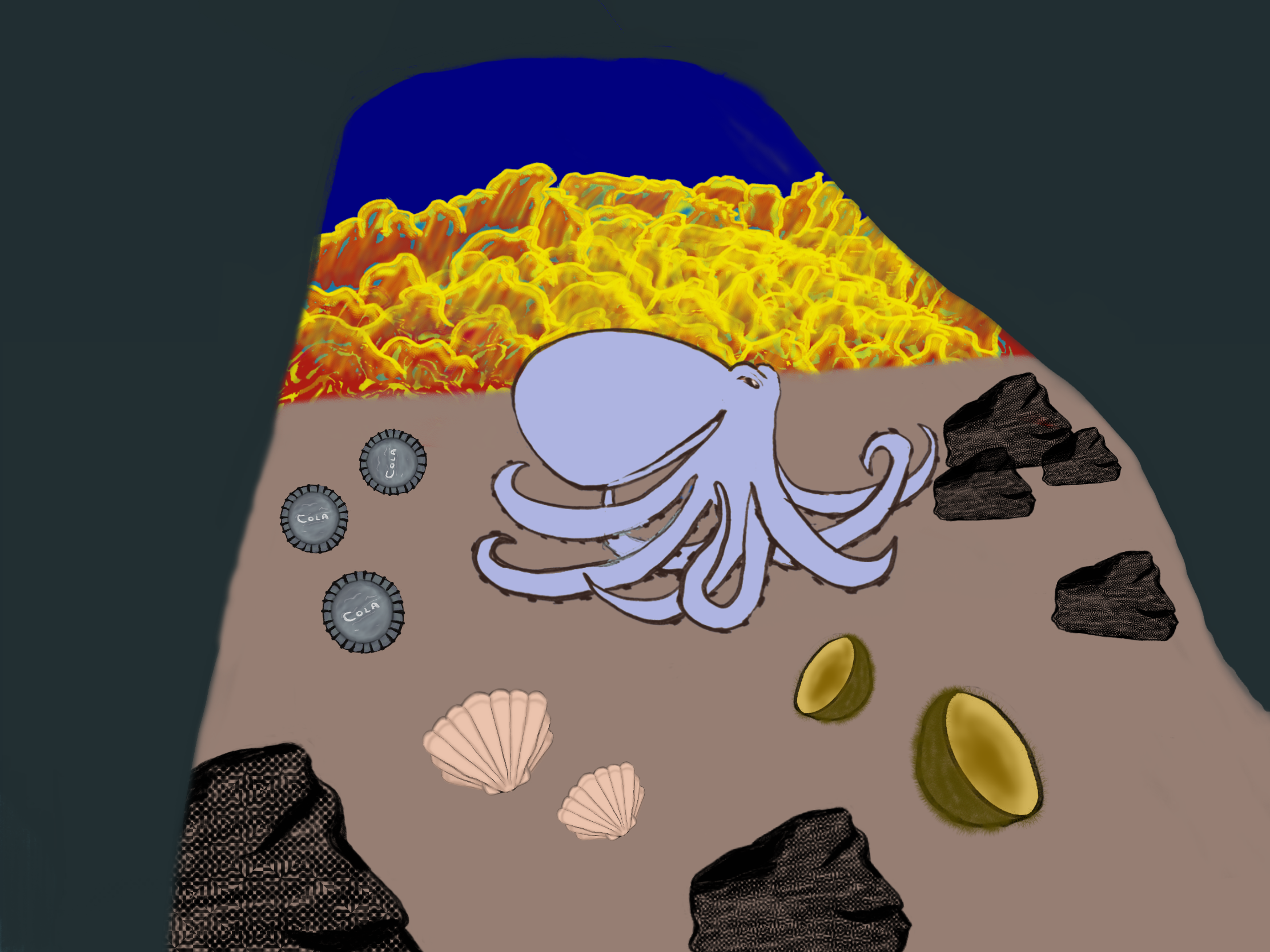 Octopus home