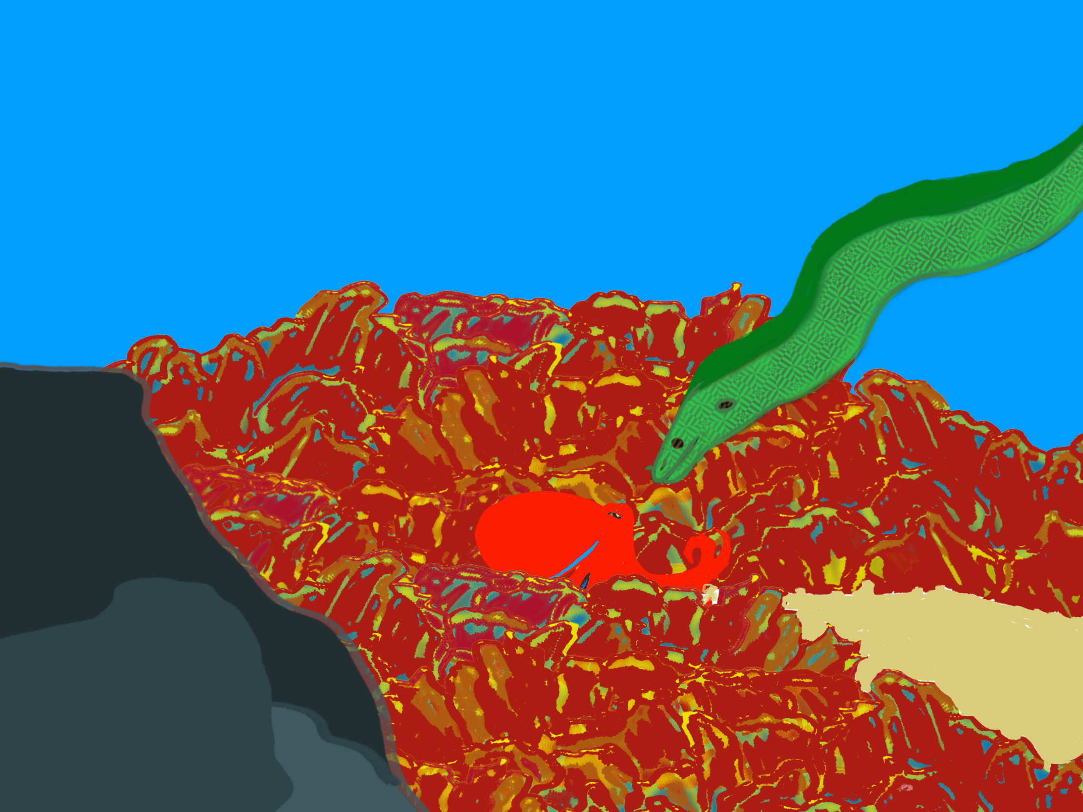 Red octopus