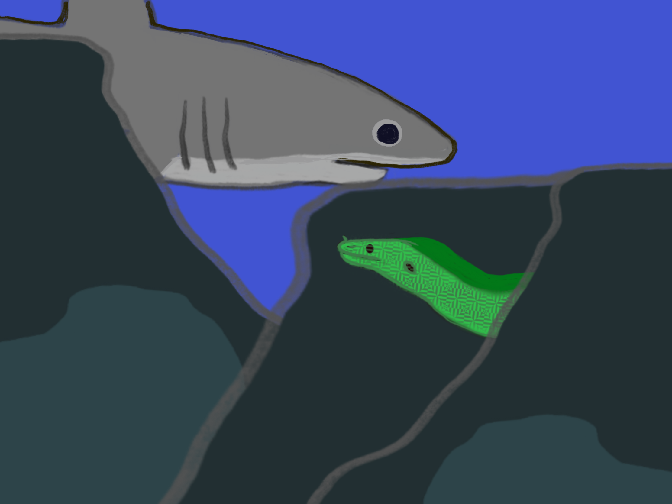 Shark and Moray Eel.