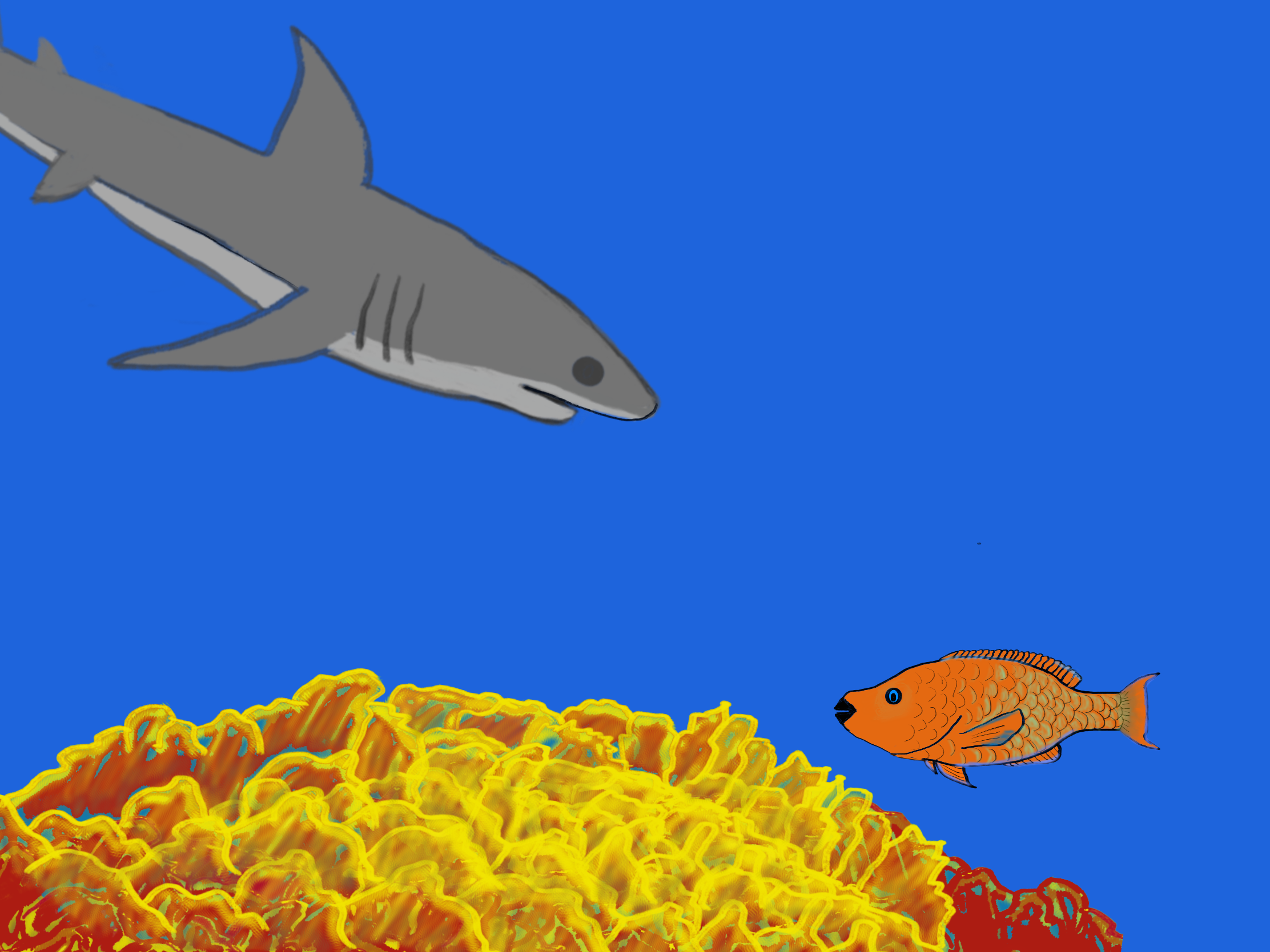 Shark and parrot fish.