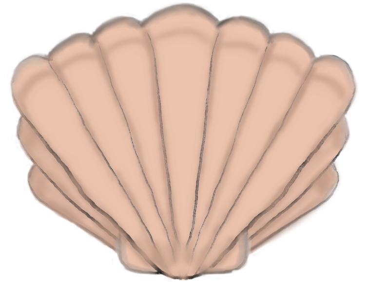 Shell